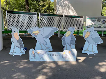 上野動物園 ハシビロカートに投稿された画像（2026/8/25）