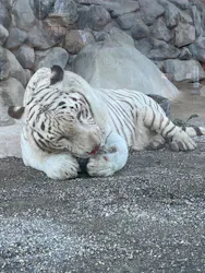 東武動物公園に投稿された画像（2026/8/25）