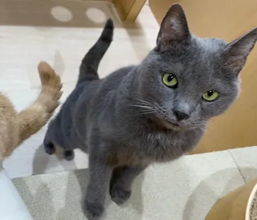 Moff animal cafe イオンモール成田店に投稿された画像（2026/8/25）