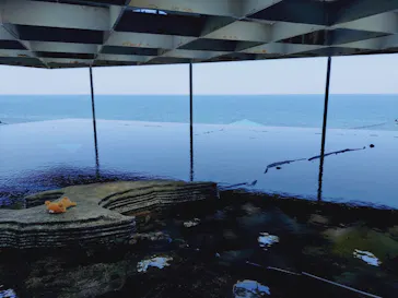 上越市立水族博物館 うみがたりに投稿された画像（2026/8/25）