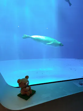 上越市立水族博物館 うみがたりに投稿された画像（2026/8/25）
