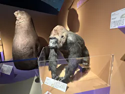 特別展「いきもの超ワールド展　国立科学博物館×ダーウィンが来た！」（国立科学博物館）に投稿された画像（2026/8/25）