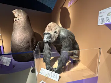特別展「いきもの超ワールド展　国立科学博物館×ダーウィンが来た！」（国立科学博物館）に投稿された画像（2026/8/25）