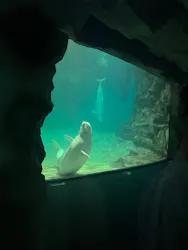 名古屋港水族館に投稿された画像（2026/8/25）