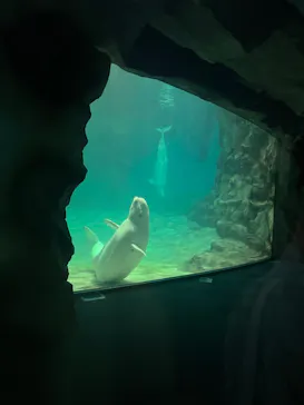 名古屋港水族館に投稿された画像（2026/8/25）