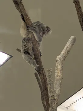 こども動物自然公園（埼玉県公園緑地協会）に投稿された画像（2026/8/25）