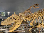 福井県立恐竜博物館に投稿された画像（2026/8/25）
