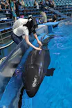 マクセル アクアパーク品川に投稿された画像（2026/8/25）