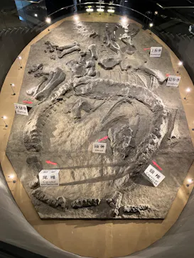 福井県立恐竜博物館に投稿された画像（2026/8/7）