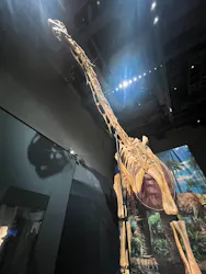 福井県立恐竜博物館に投稿された画像（2026/8/25）