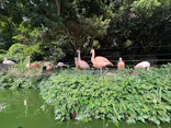 伊豆シャボテン動物公園に投稿された画像（2026/8/26）