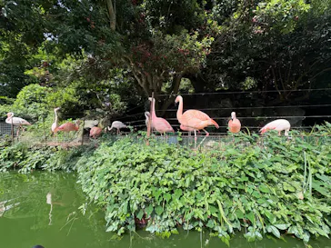 伊豆シャボテン動物公園に投稿された画像（2026/8/25）