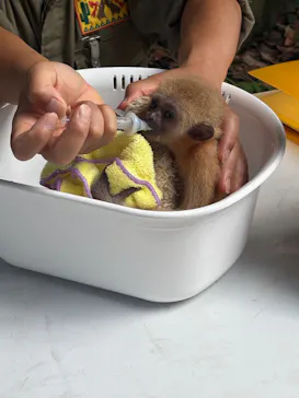 伊豆シャボテン動物公園に投稿された画像（2026/8/25）