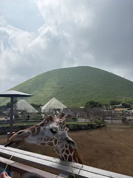 伊豆シャボテン動物公園に投稿された画像（2026/8/25）