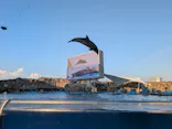 名古屋港水族館に投稿された画像（2026/8/26）