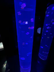 サンシャイン水族館に投稿された画像（2026/8/26）