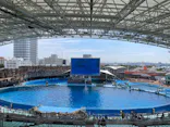 名古屋港水族館に投稿された画像（2026/8/26）