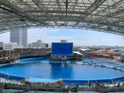名古屋港水族館に投稿された画像（2026/8/26）