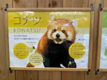 伊豆シャボテン動物公園に投稿された画像（2026/8/26）