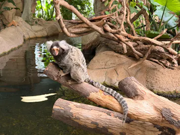 那須どうぶつ王国に投稿された画像（2026/8/26）