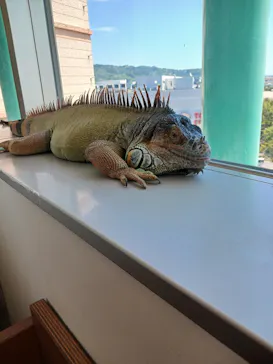 Moff animal cafe 小田原ダイナシティ店に投稿された画像（2026/8/26）