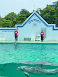 しながわ水族館に投稿された画像（2026/8/26）