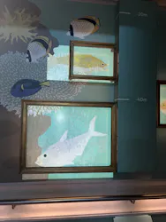 AQUARIUM × ART　atoaに投稿された画像（2026/8/26）