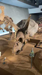 福井県立恐竜博物館に投稿された画像（2026/8/26）