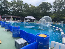 伊豆ぐらんぱる公園に投稿された画像（2026/8/26）