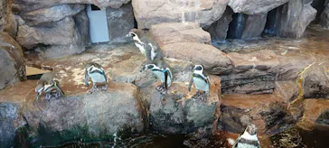 みやじマリン宮島水族館に投稿された画像（2026/8/26）