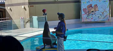 みやじマリン宮島水族館に投稿された画像（2026/8/26）