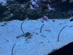 サンシャイン水族館に投稿された画像（2026/8/26）