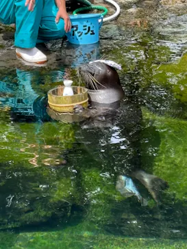箱根園水族館に投稿された画像（2026/8/26）