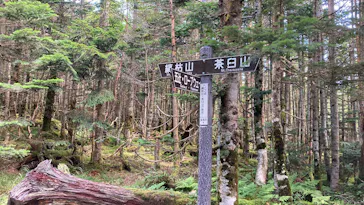 北八ヶ岳ロープウェイに投稿された画像（2026/8/26）
