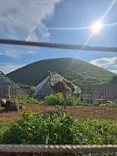 伊豆シャボテン動物公園に投稿された画像（2026/8/26）