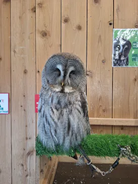 伊豆シャボテン動物公園に投稿された画像（2026/8/26）
