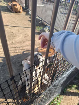 伊豆シャボテン動物公園に投稿された画像（2026/8/26）