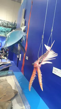 特別展　大絶滅展に投稿された画像（2026/8/26）