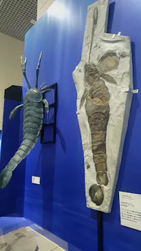 特別展　大絶滅展に投稿された画像（2026/8/26）