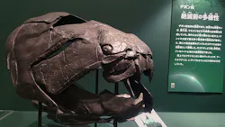 特別展　大絶滅展に投稿された画像（2026/8/26）