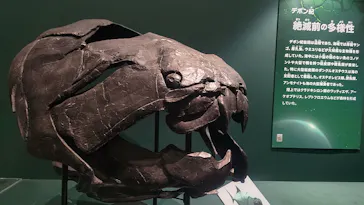 特別展　大絶滅展に投稿された画像（2026/8/26）