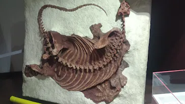 特別展　大絶滅展に投稿された画像（2026/8/26）