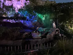 サンシャイン水族館に投稿された画像（2026/8/26）