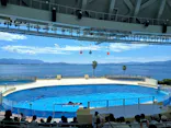 マリンワールド海の中道に投稿された画像（2026/8/27）