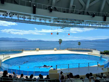 マリンワールド海の中道に投稿された画像（2026/8/26）