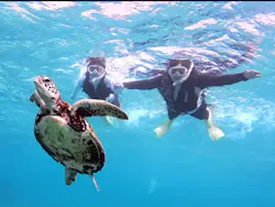 タビワク　宮古島に投稿された画像（2026/8/26）