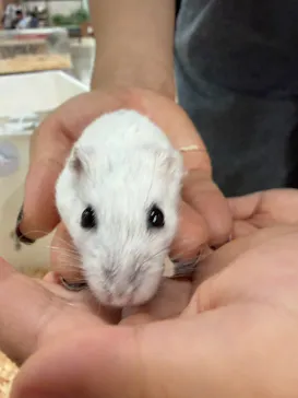 いきもの探検隊上尾に投稿された画像（2026/8/26）