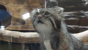 恩賜上野動物園に投稿された画像（2026/8/26）