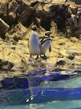 すみだ水族館に投稿された画像（2026/8/27）