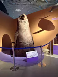 特別展「いきもの超ワールド展　国立科学博物館×ダーウィンが来た！」（国立科学博物館）に投稿された画像（2026/8/27）